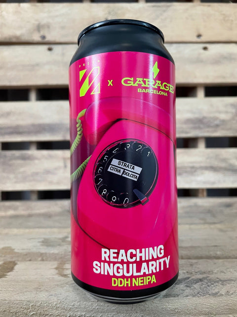 Prizm colab. Garage / Reaching Singularity DDH 6%